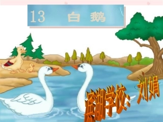 《白鹅》教学演示课件 (2)