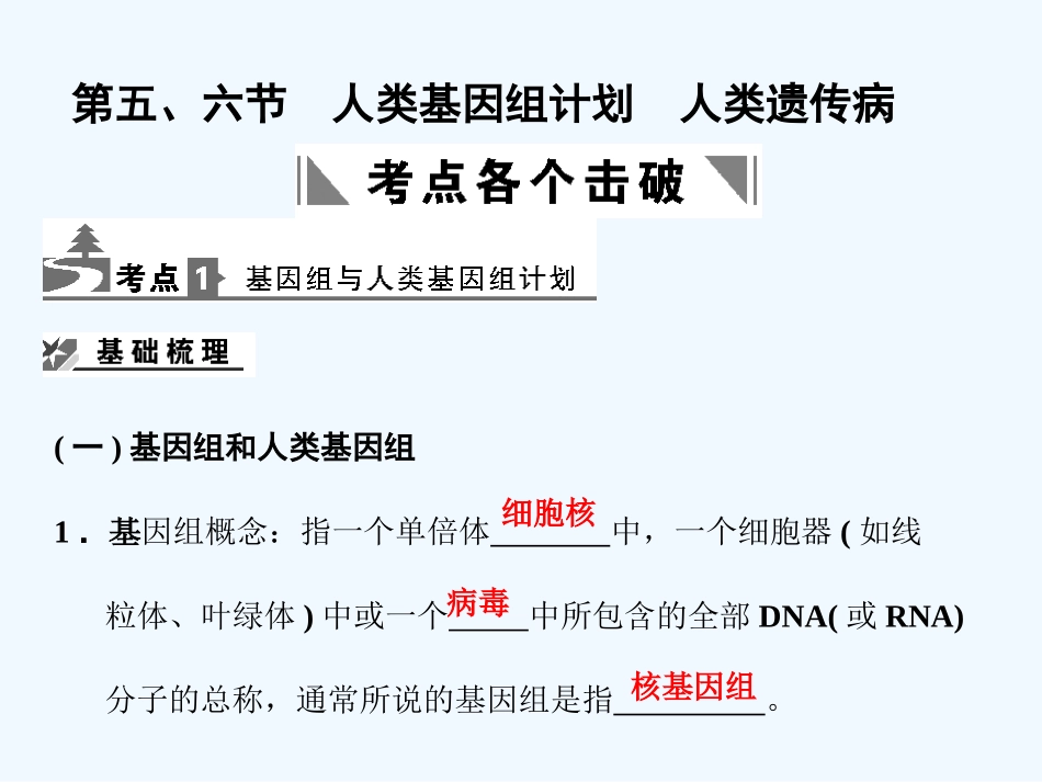 【创新设计】2011届高考生物一轮复习 3-2-5、6 人类基因组计划　人类遗传病课件 中图版必修2_第1页
