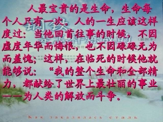 《钢铁是怎样炼成的》第二课时