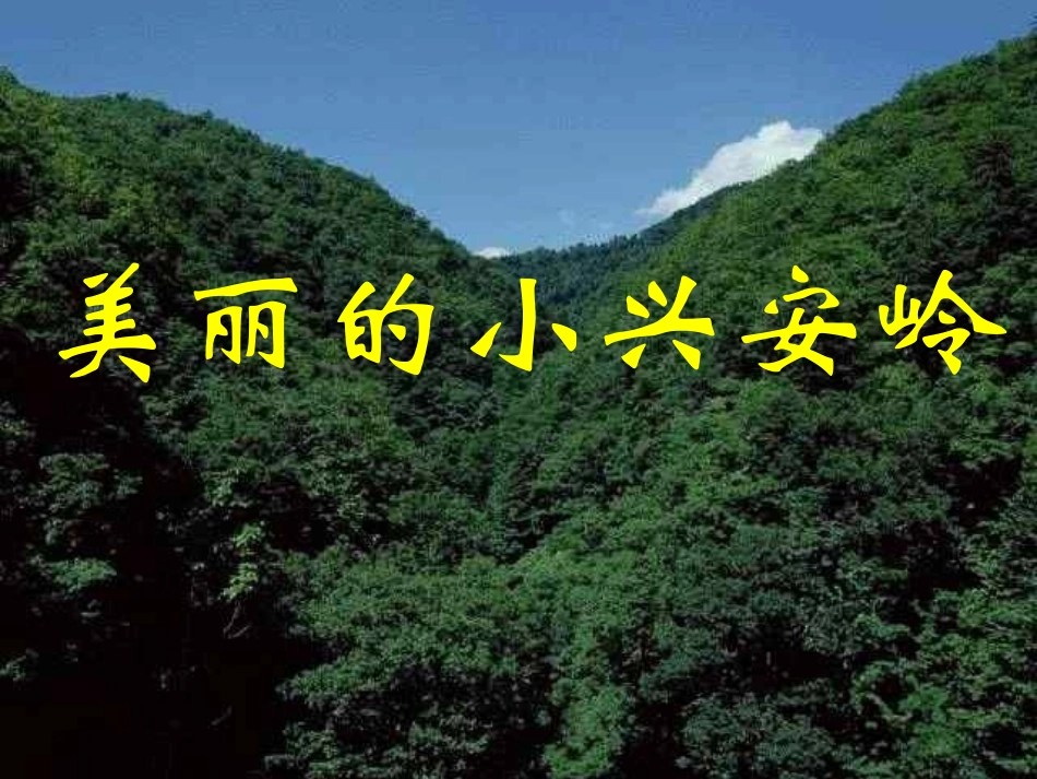 《美丽的小兴安岭》课件 (4)_第2页