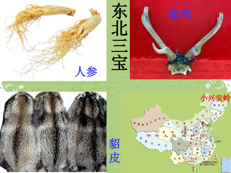 《美丽的小兴安岭》课件 (4)_第3页