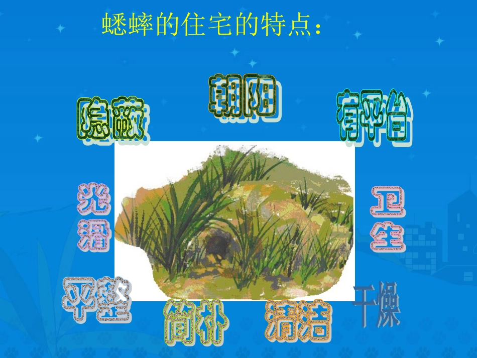 《蟋蟀的住宅》课堂演示课件第二课时 (2)_第3页