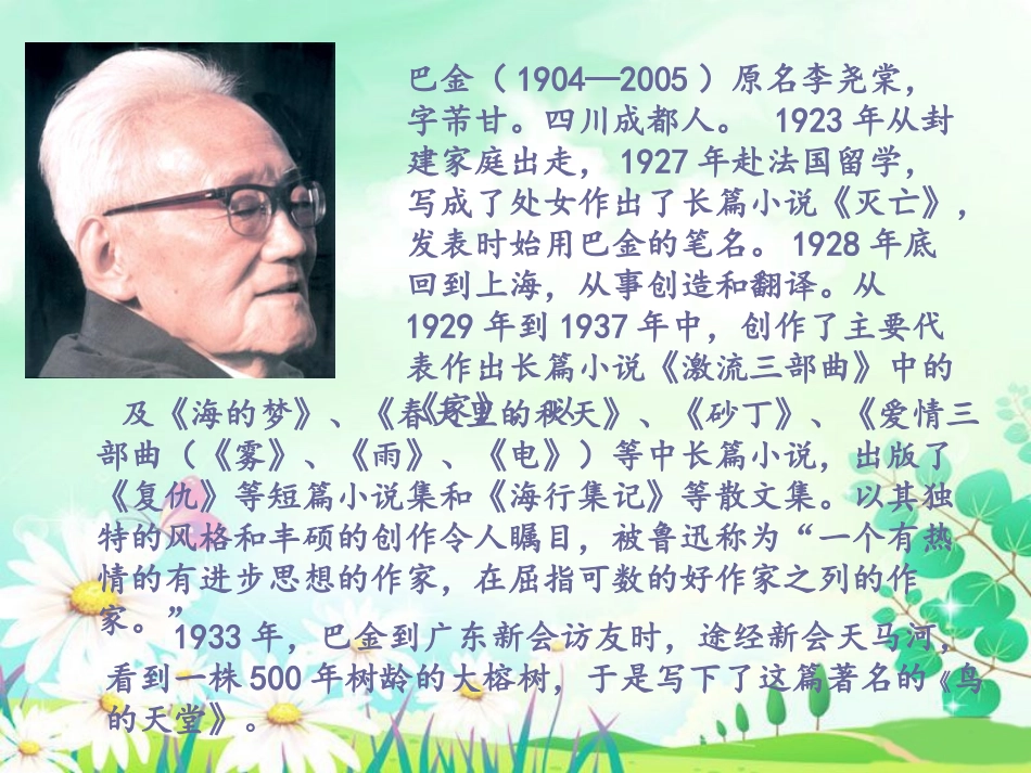 《鸟的天堂》课件5_第2页