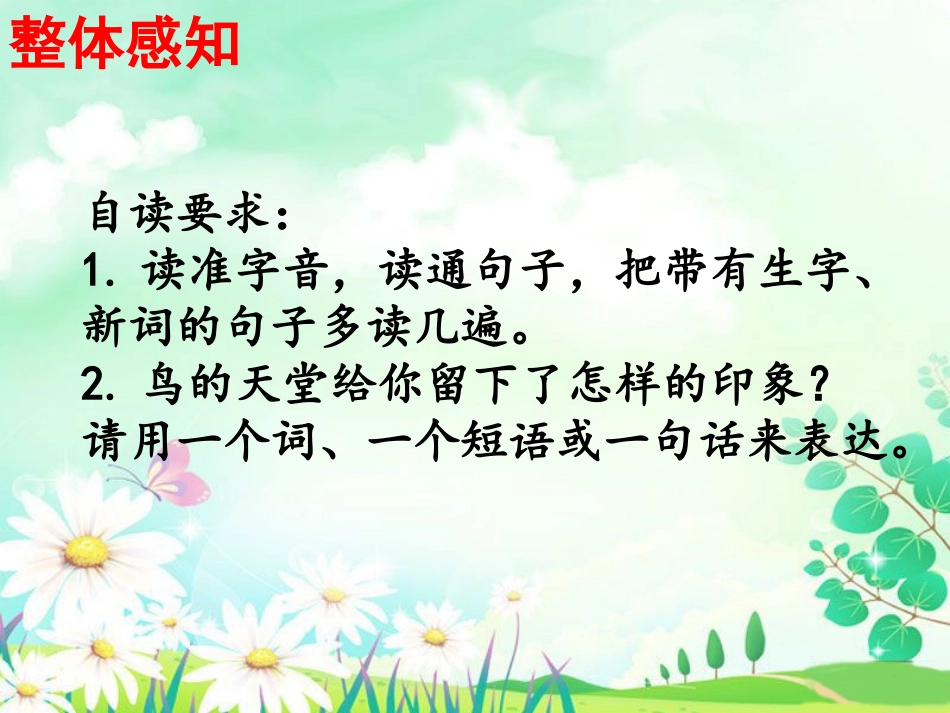 《鸟的天堂》课件5_第3页