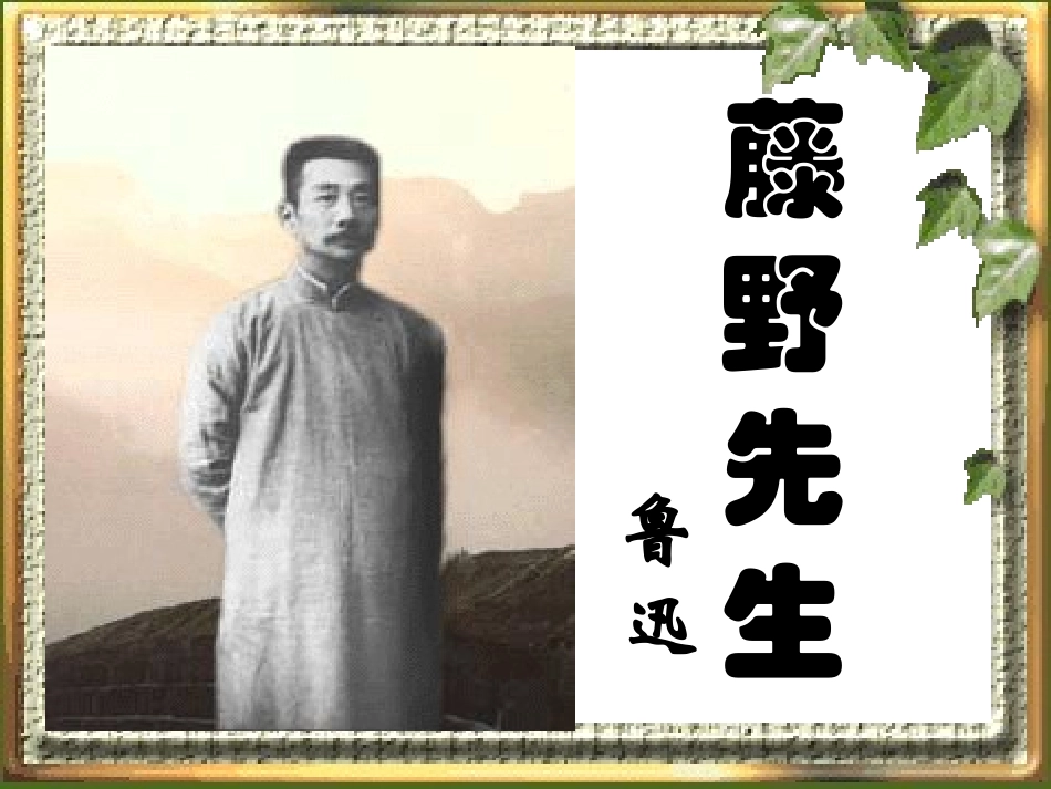 《藤野先生》优秀_第1页