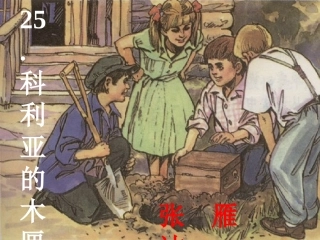 《科利亚的木匣》教学课件2