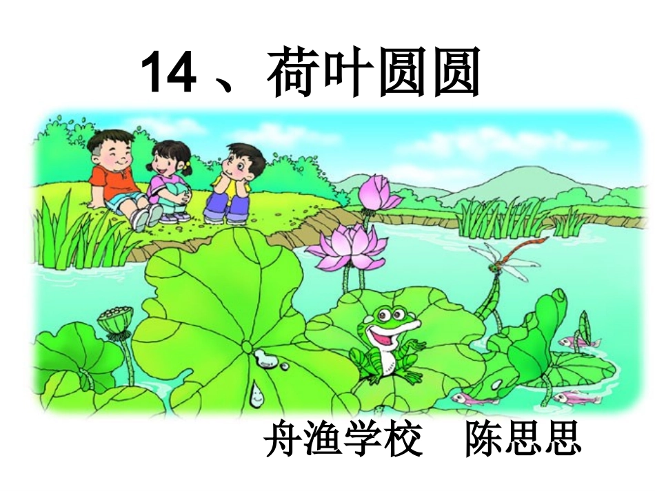 《陈思思：荷叶圆圆》课件_第1页