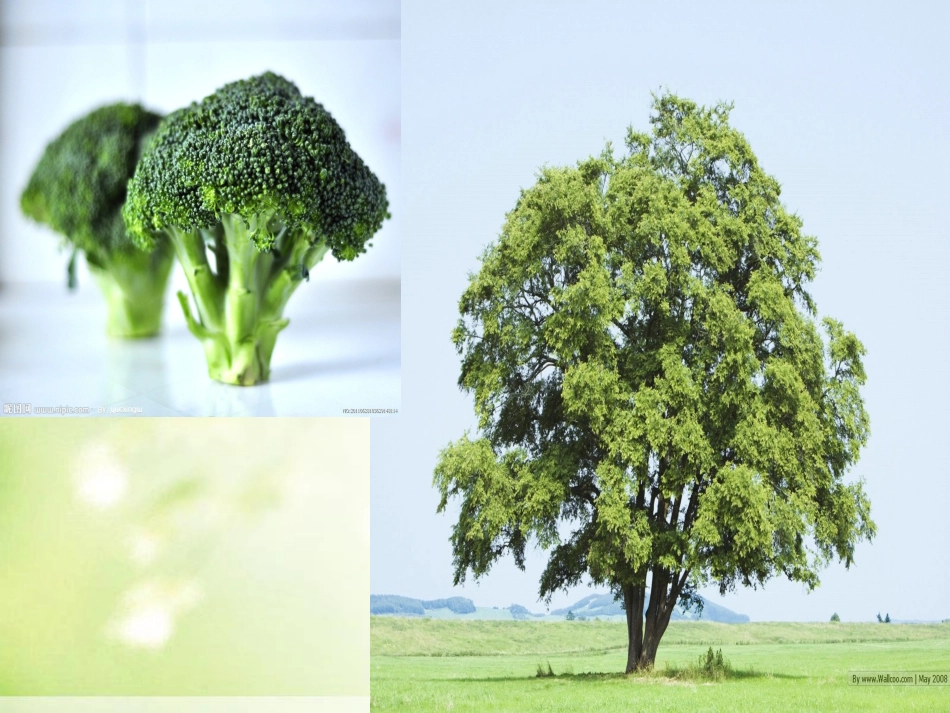 《这个地方有点怪》课件_第3页