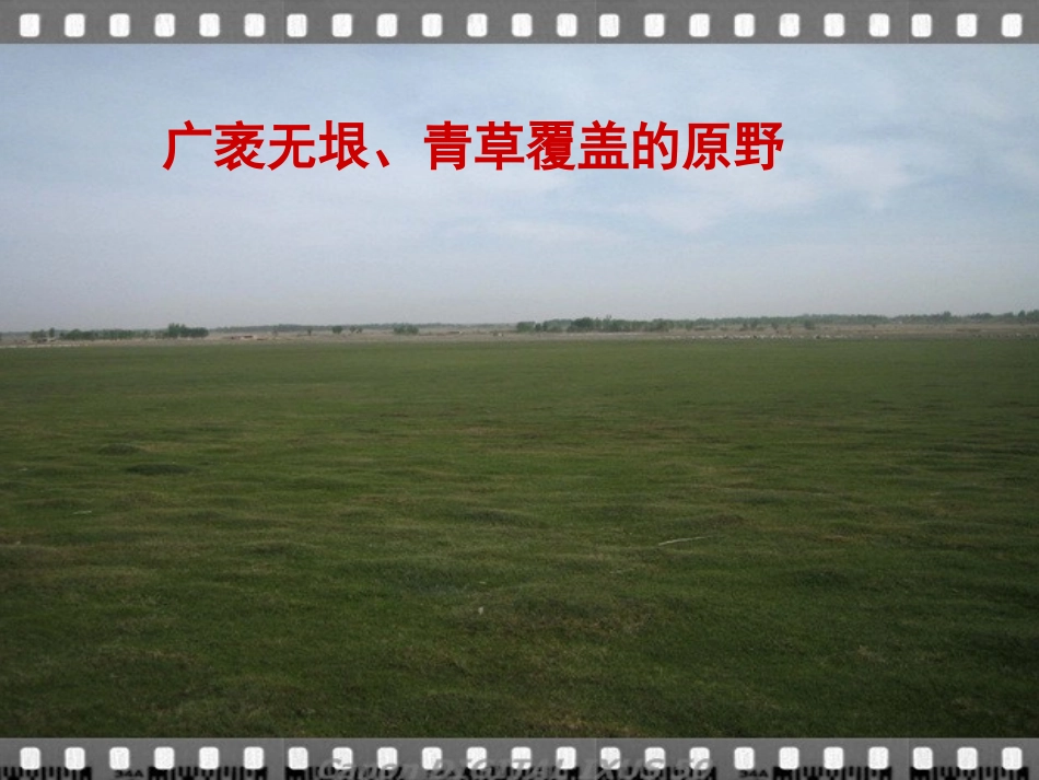 《青海高原一株柳》_第3页