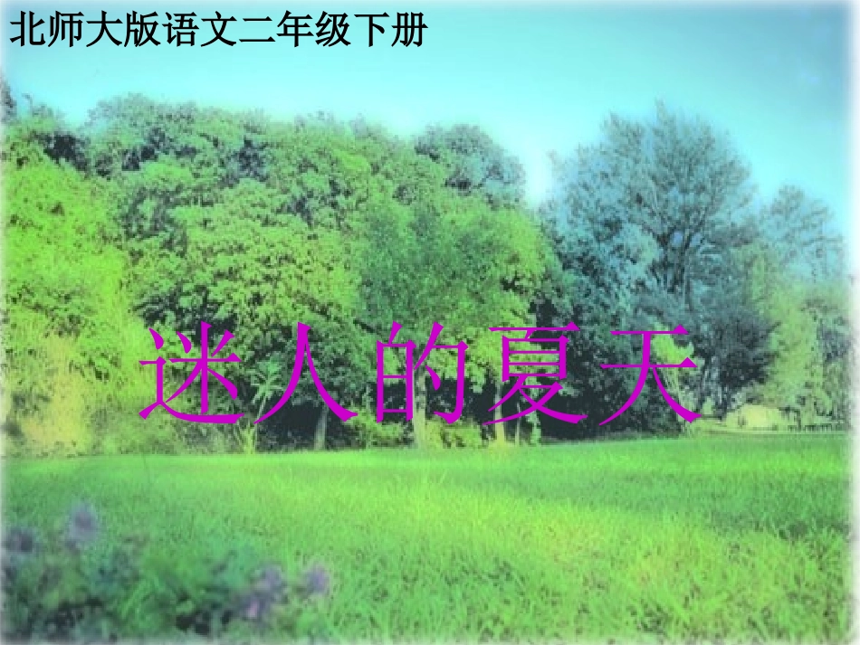 《迷人的夏天》PPT课件_第1页
