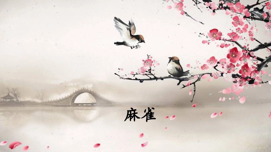 《麻雀》精品课件_第3页