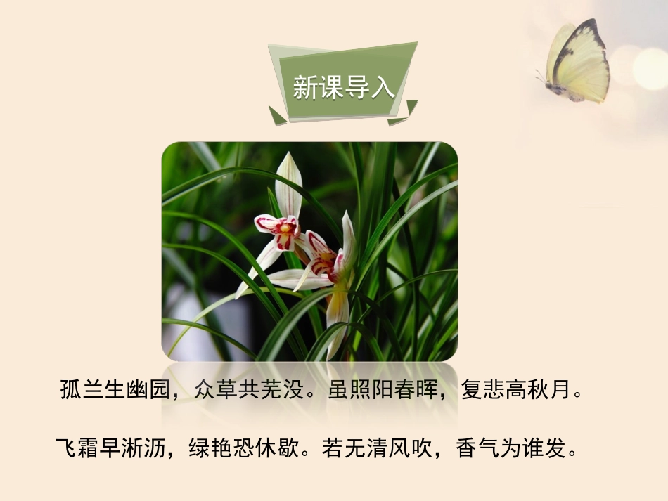 《花的结构和类型》课件确定版（23张PPT）_第2页