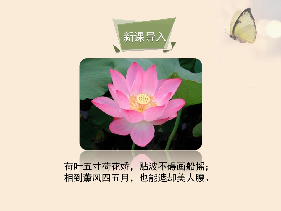 《花的结构和类型》课件确定版（23张PPT）_第3页
