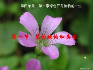 《花的结构和类型》课件确定版（23张PPT）
