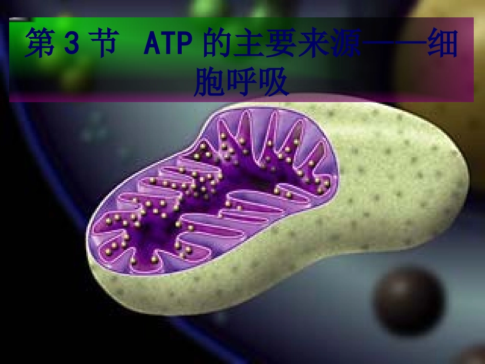 【确山二高】细胞呼吸_第1页