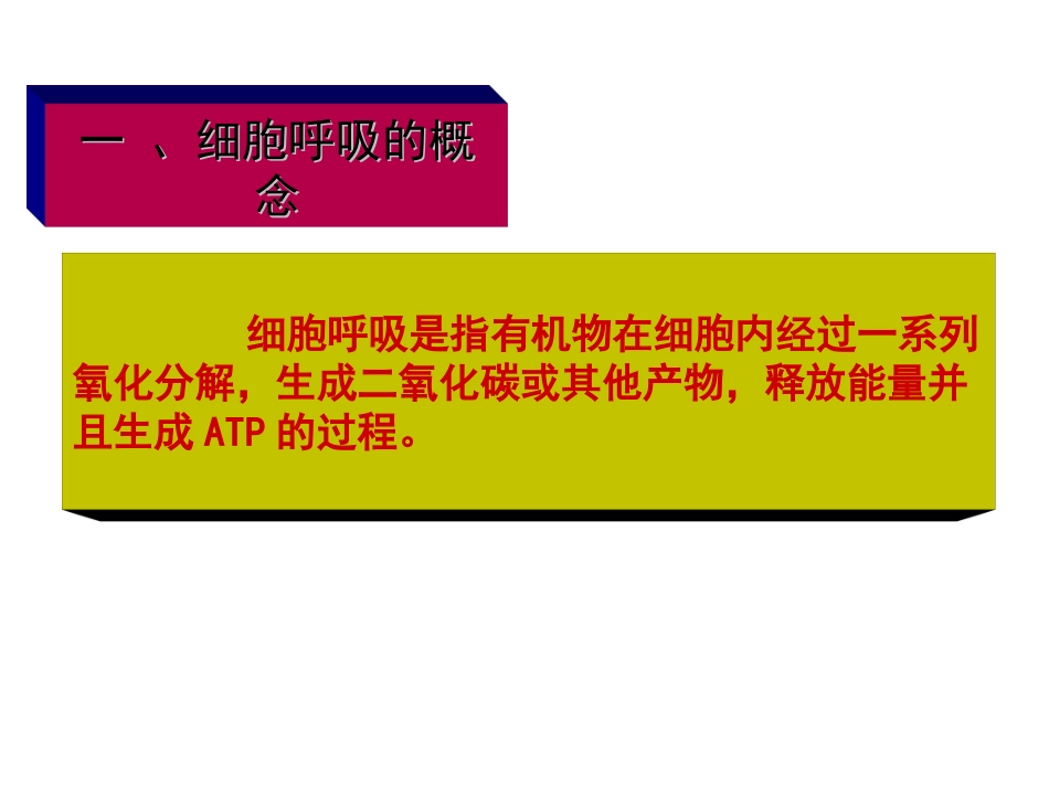 【确山二高】细胞呼吸_第2页