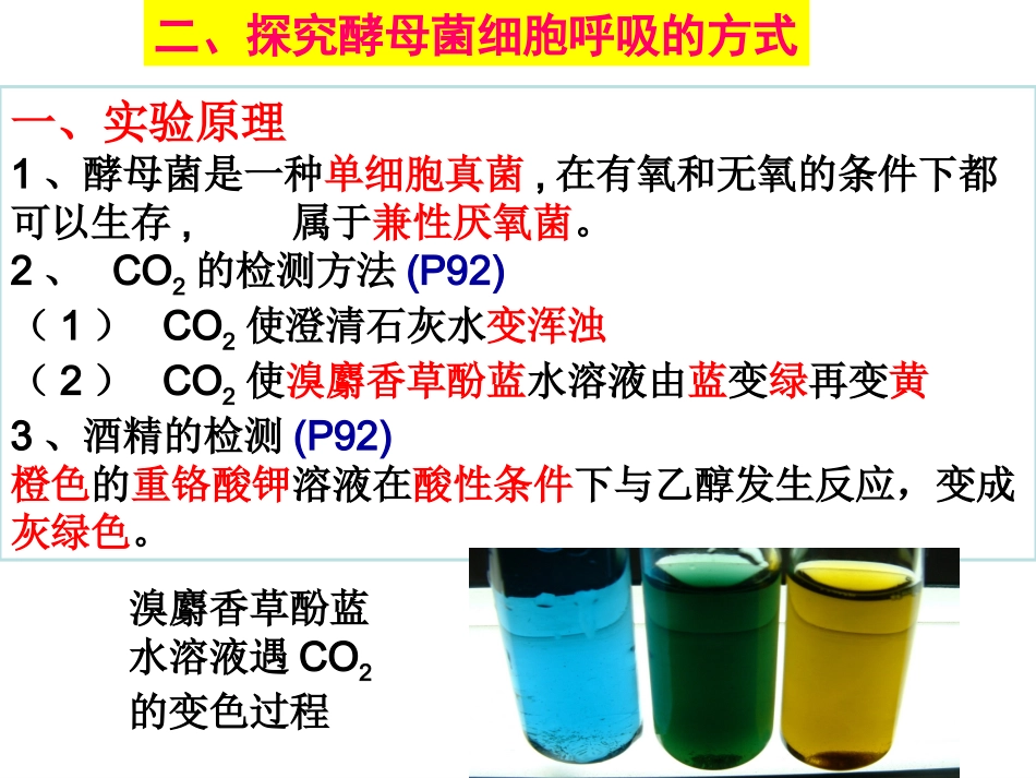 【确山二高】细胞呼吸_第3页