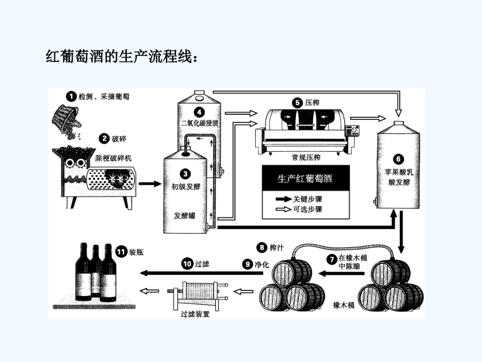 【创新设计】2011届高考生物一轮复习 专题2 生物技术在食品加工中的应用课件 苏教版选修1_第2页