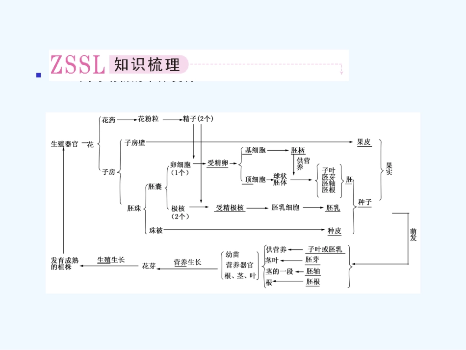 【精品】2011届高考生物第一轮复习经典学案 3-6 生物的个体发育课件_第3页