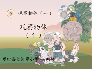 《观察物体》--大河岸小学胡婷