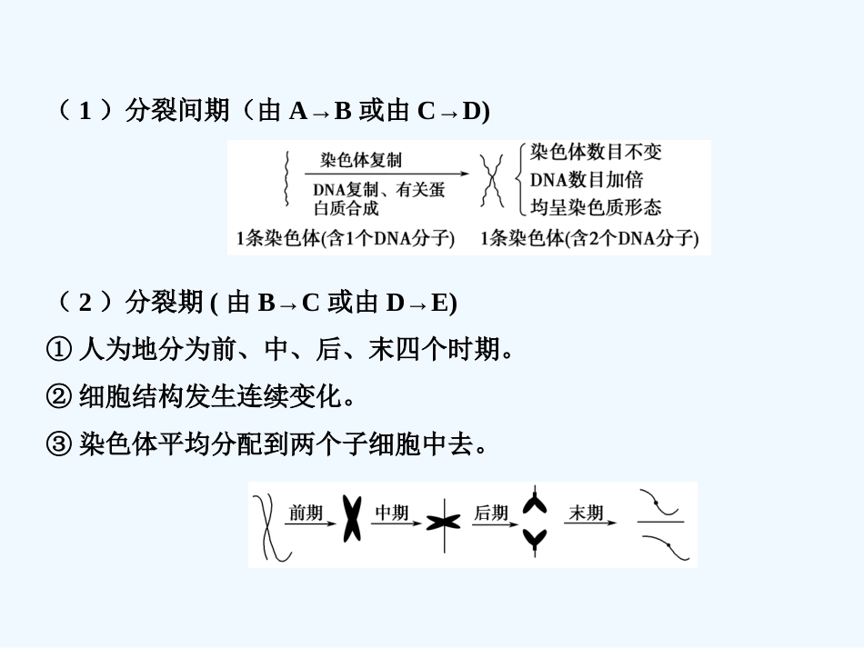 【创新设计】2011届高考生物一轮复习 第四单元 学时10 细胞的增殖课件 浙科版必修1_第3页