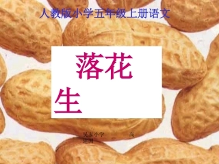 《落花生》高建国