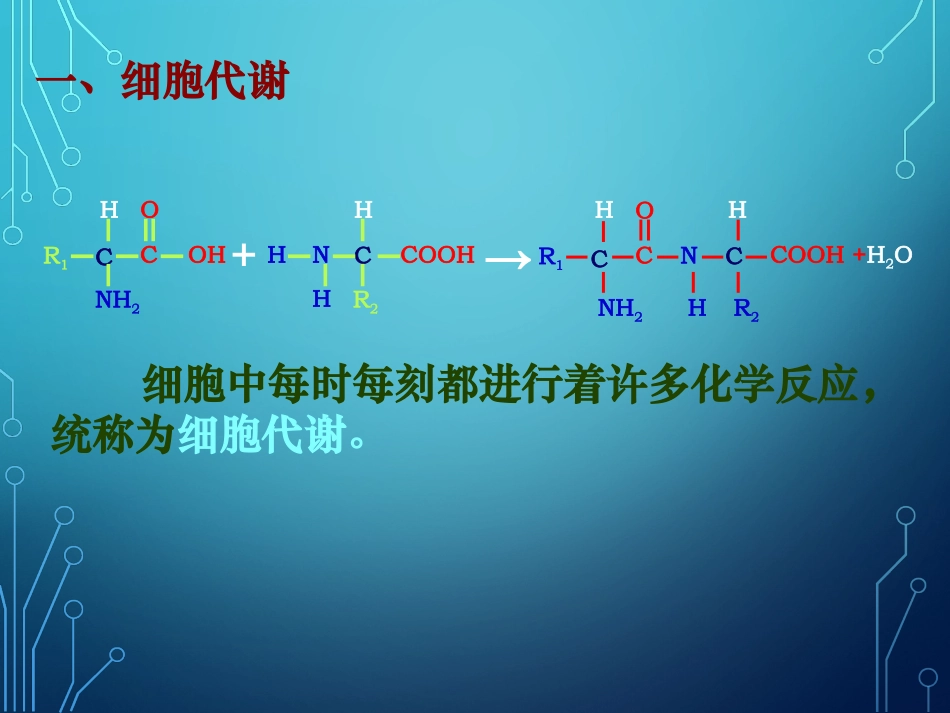 《降低化学反应活化能的酶》_第3页