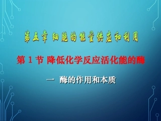 《降低化学反应活化能的酶》