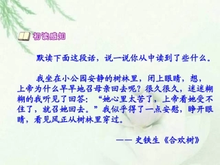 《秋天的怀念》2