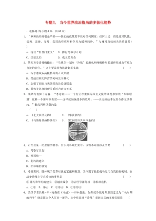 高中历史 专题九 当今世界政治格局的多极化趋势专题测试 人民版必修1-人民版高一必修1历史试题