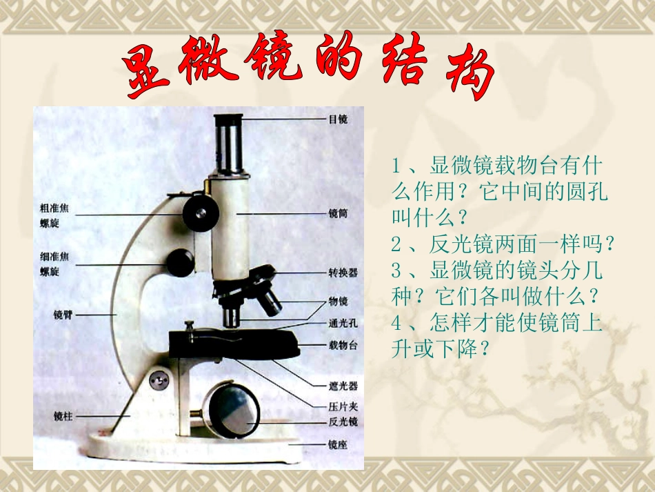 《练习使用显微镜》教学课件1 (2)_第2页