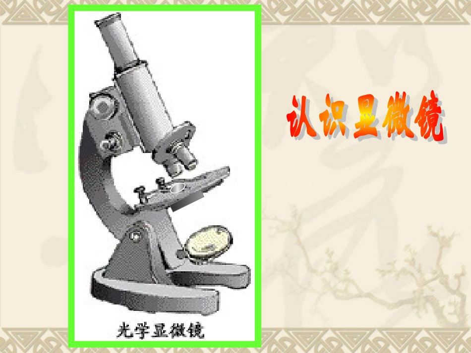 《练习使用显微镜》教学课件1 (2)_第3页