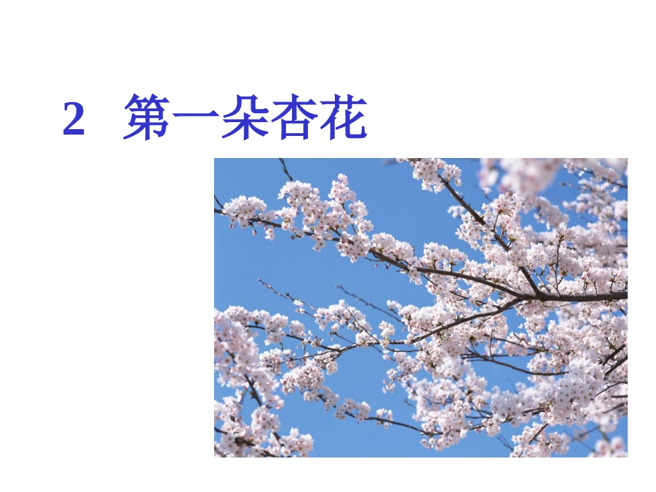 《第一朵杏花》课件_1_第1页