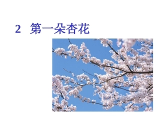 《第一朵杏花》课件_1