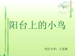 《阳台上的小鸟》课件