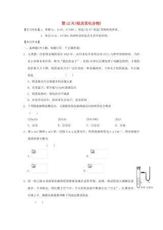 高一化学寒假作业 第12天（铝及其化合物）-人教版高一全册化学试题