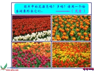 《茂密的花》课件(人美版二年级美术下册课件) (4)