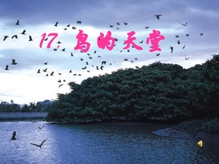 《鸟的天堂》六上1