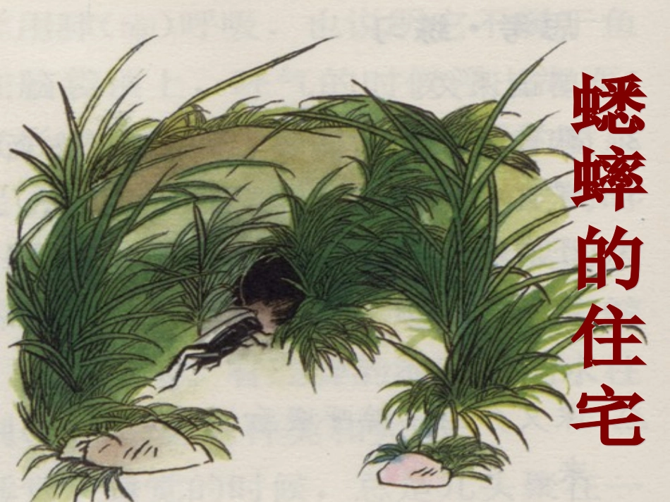 《蟋蟀的住宅》教学课件1 (2)_第1页