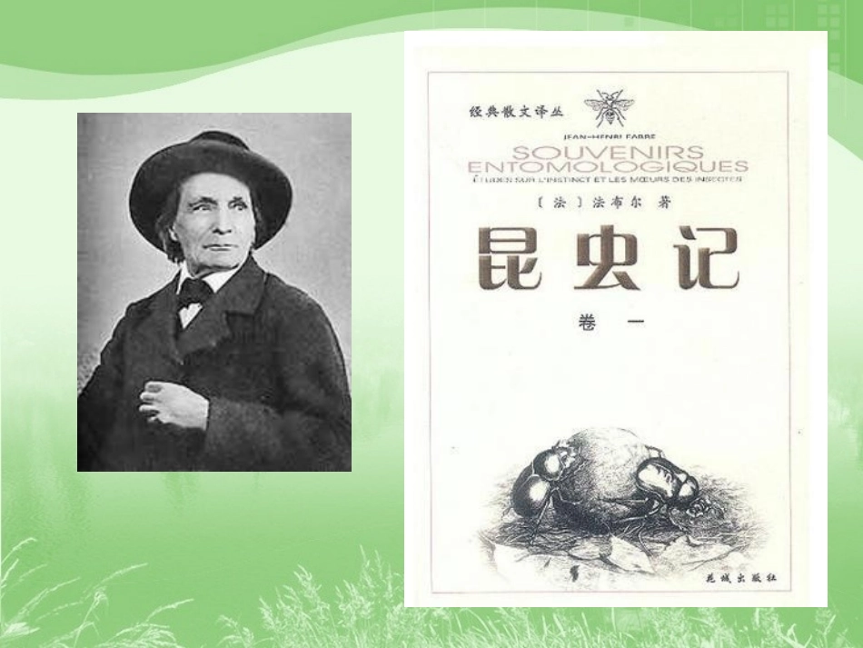 《蟋蟀的住宅》教学课件1 (2)_第3页