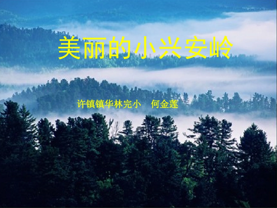 《美丽的小兴安岭》课件 (8)_第1页