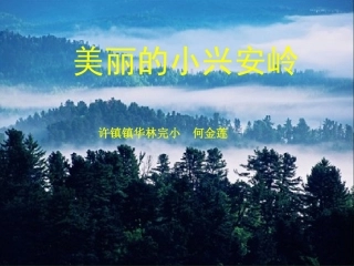 《美丽的小兴安岭》课件 (8)
