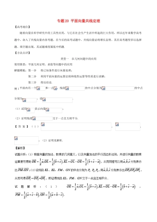 高考数学 专题20 平面向量共线定理黄金解题模板-人教版高三全册数学试题