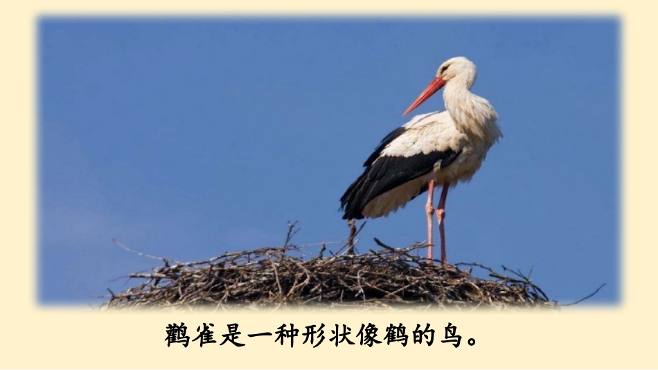 《登鹳雀楼》课件_第3页