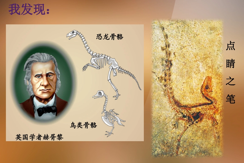 《飞上蓝天的恐龙》_第2页