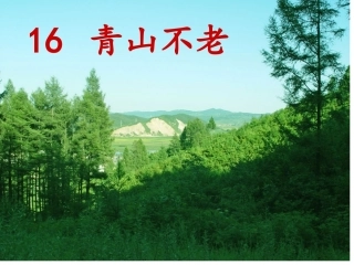 《青山不老》课件资源 (2)