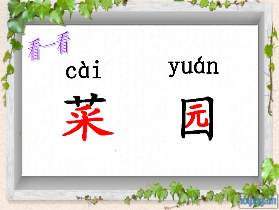 《菜园里》PPT_第2页