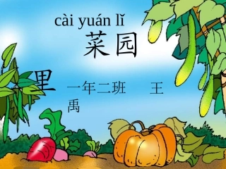 《菜园里》PPT