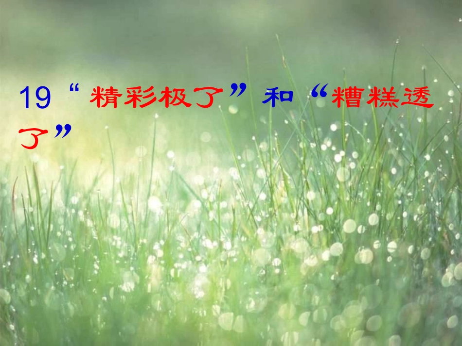 《精彩极了和糟糕透了》 (2)_第1页