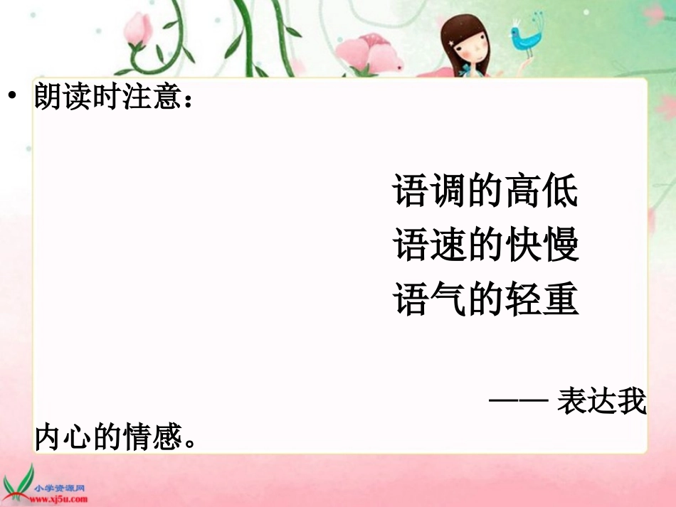 《红树林》PPT课件君丽_第2页